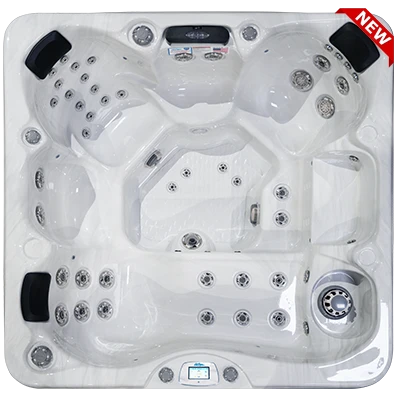 Avalon-X EC-849LX hot tubs for sale in Sunnyvale
